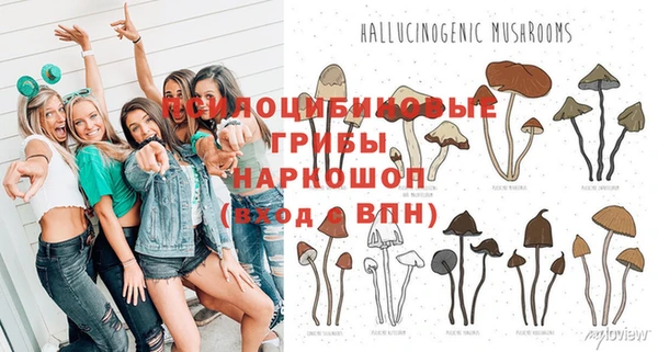 ешки Беломорск
