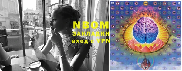 тгк Белокуриха