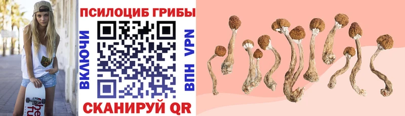 Галлюциногенные грибы Cubensis  Безенчук 